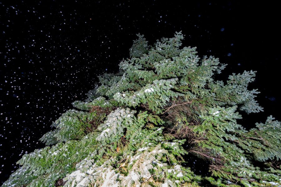Personal documentary photograph by Reed Raibley