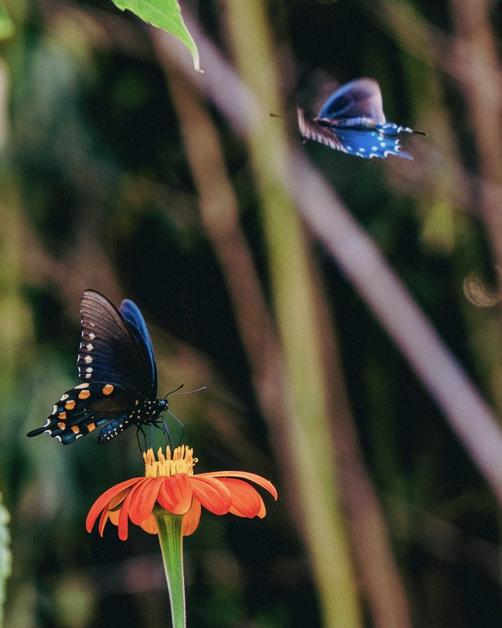 Personal documentary photograph by Reed Raibley